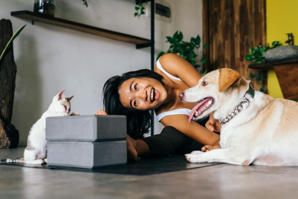 Understanding Pet Adoption Contracts in the UK: Your Rights and Responsibilities Explained
