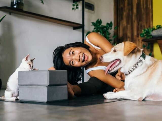 Understanding Pet Adoption Contracts in the UK: Your Rights and Responsibilities Explained