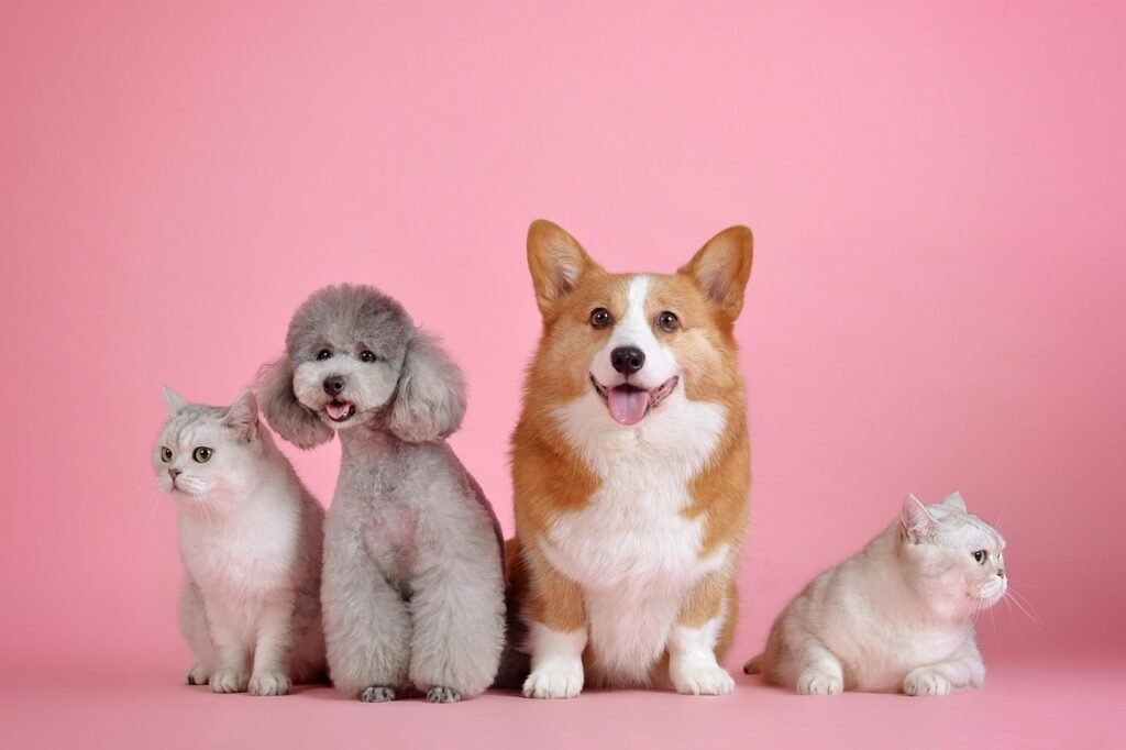 Understanding Fleas: Are Dog and Cat Fleas the Same? Prevention and Treatment Guide